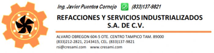 REFACCIONES Y SERVICIOS INDUSTRIALIZADOS, SA DE CV Logo