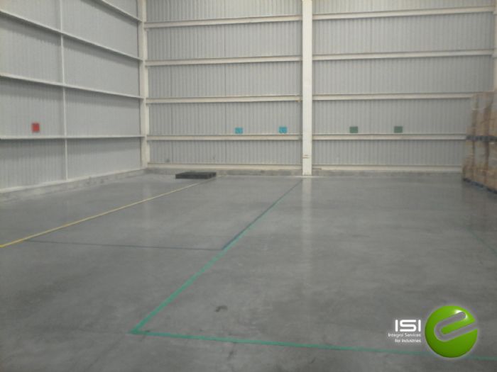 Asesoría en ubicación de áreas - 