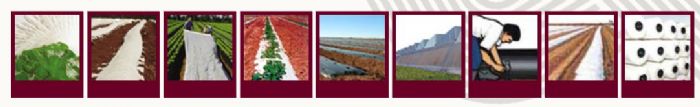 PRODUCTOS AGRICOLAS - 
