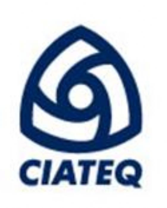 DESARROLLO TECNOLOGICO - 