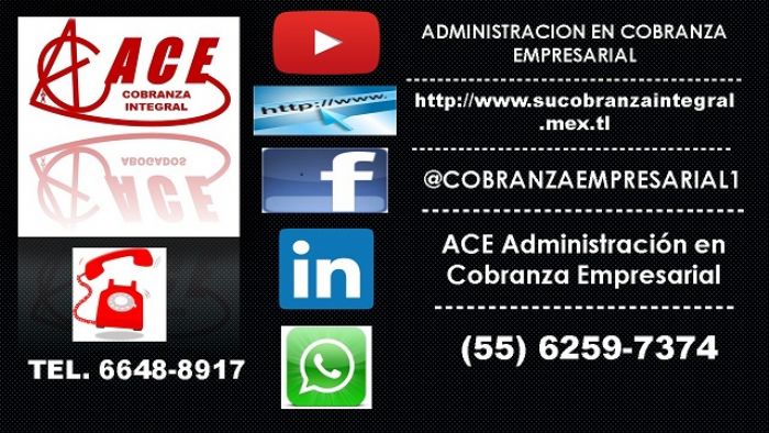 Redes Sociales - ACE