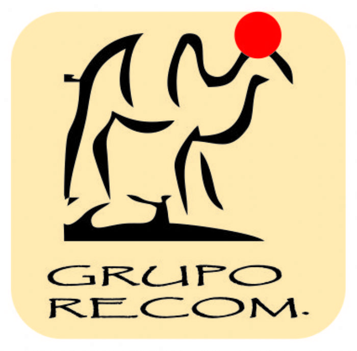 AMORTIGUADORES DE GAS - STABILUS