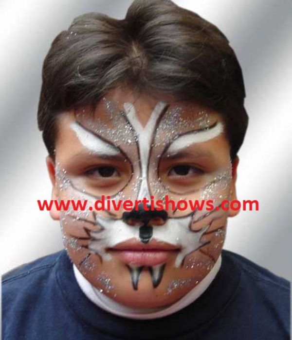 Pintacaritas con accesorios renta - 