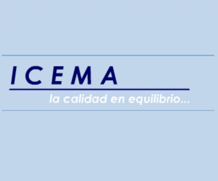 ASESORIA Y SEGUIMIENTO A LAS NOTIFICACIONES - ICEMA