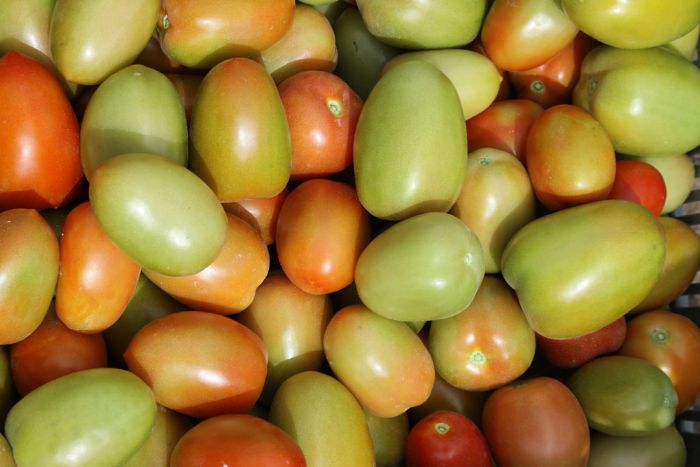 Tomate roma - king produce