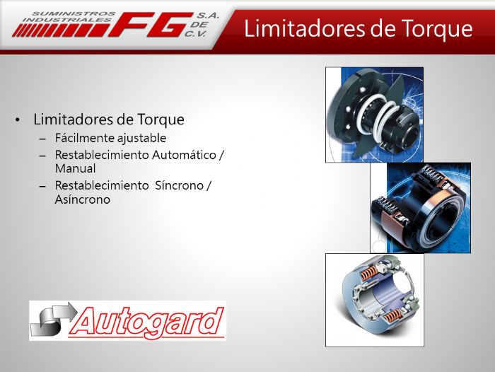 Limitador de Torque AUTOGARD - AUTOGARD