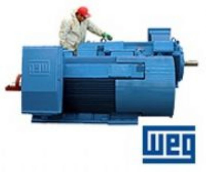 Motores de Media Tension - WEG