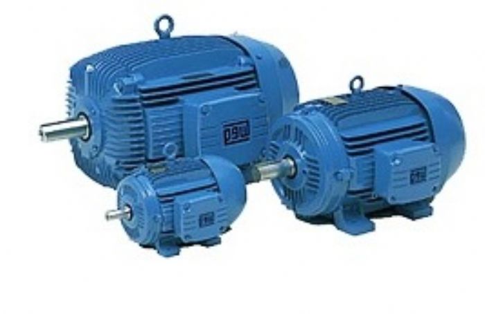 Motores de Baja Tension WEG - WEG