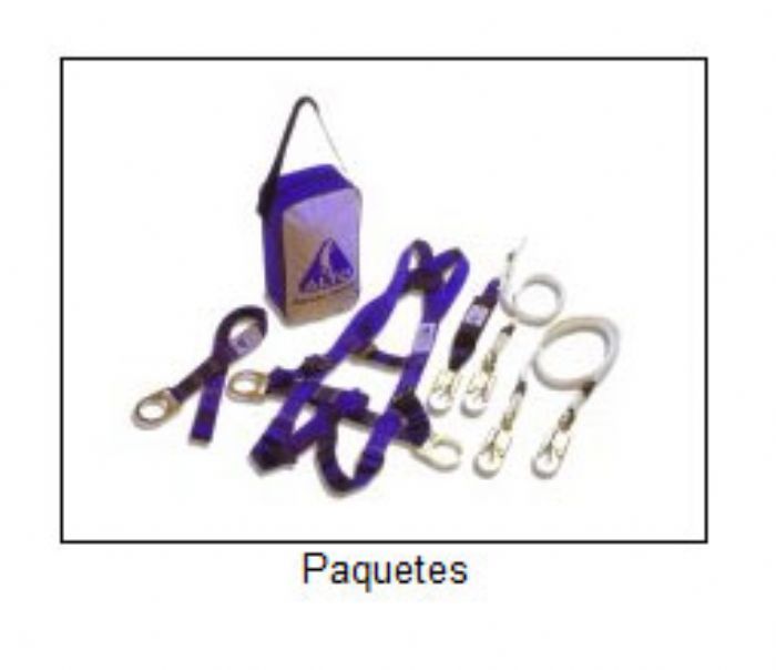 PAQUETES DE SEGURIDAD - PROCARGA