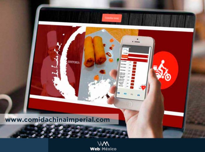 Paquetes Web ELITE - Desarrollos y Sistemas PWM SAS de CV