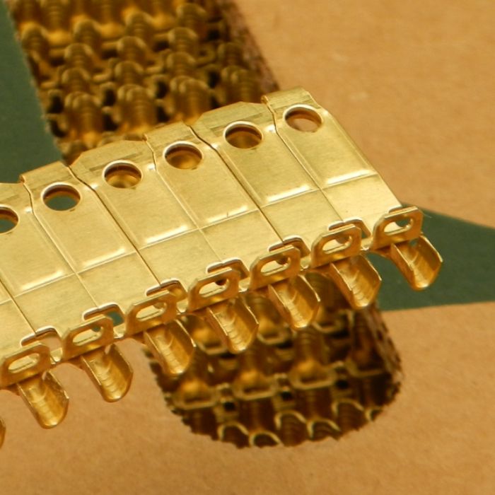 Pata de clavija larga polarizada - ETCO