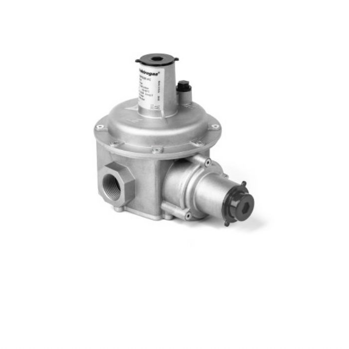 Regulador RFS - ELEKTROGAS