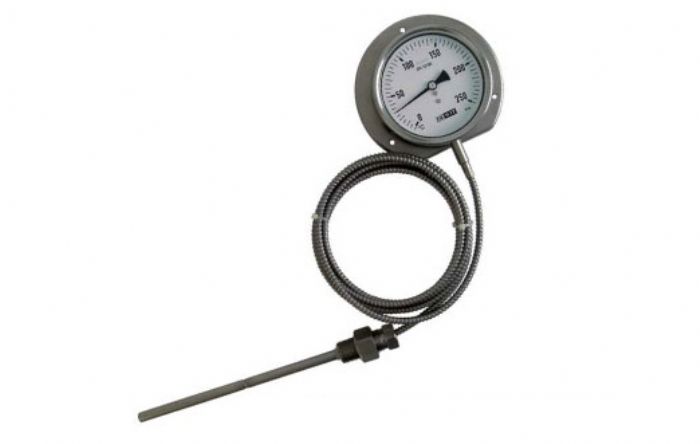 Termometro de capilar - DE WIT