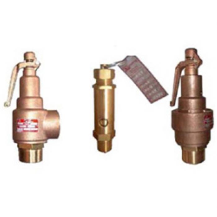 Válvulas de seguridad - Vayremex