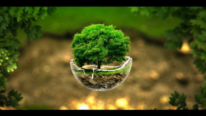 COMPRA DE DESPERDICIO DE COMPUTO - TRIELECTRO