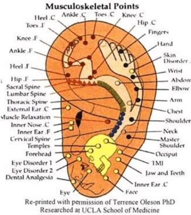 Balines Magnetizados con parche listos para usar (Envio Gratis) - 