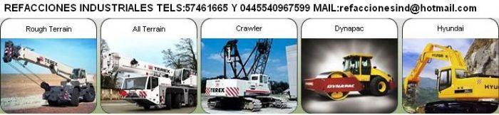 GRUAS TEREX - GRUAS TEREX,SANY, PERFORADORAS CZM,MARTILLOS VIBRA