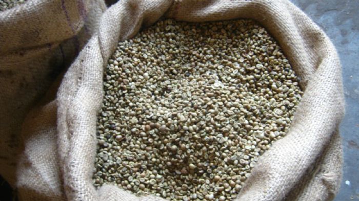 Café Verde en Grano - 