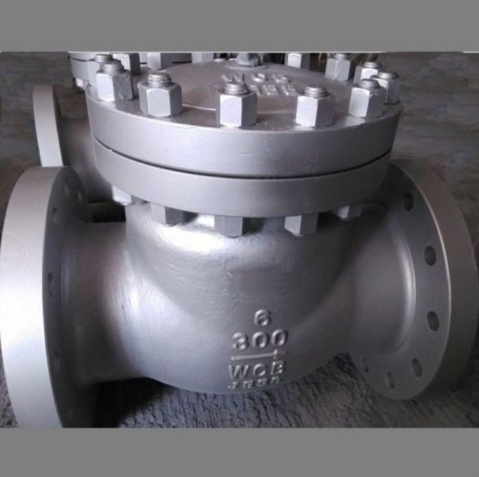 Carbon Steel Flanged Check Valve - 