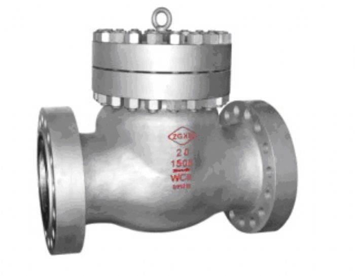 Swing Check Valves - Xinhai