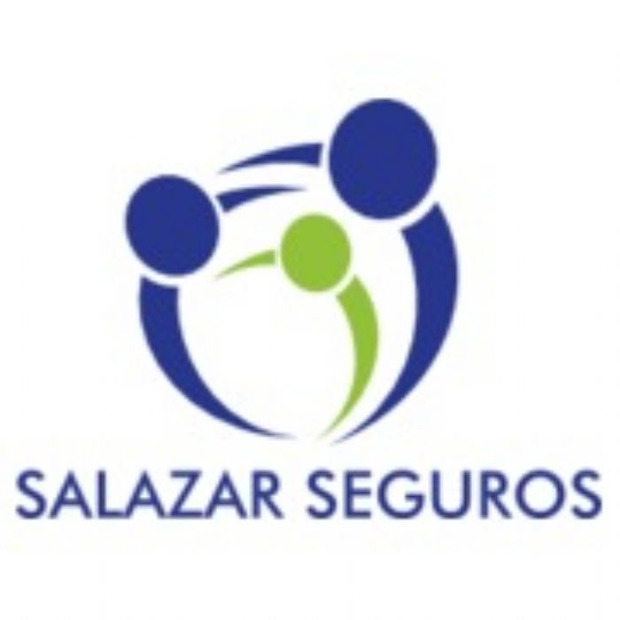 Seguros flotillas y colectividades - Salazar seguros