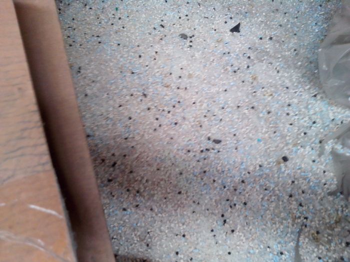 BARREDURA DE VIRGENES - 