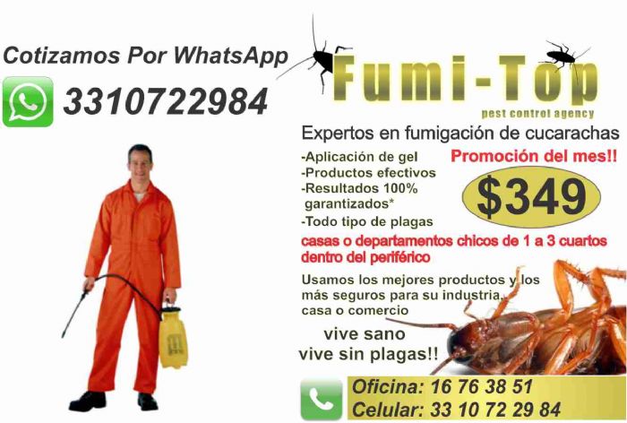 control de plagas - fumigaciones fumi top