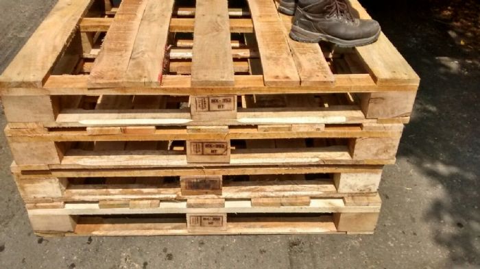 Tarima de madera o plastico - Gen