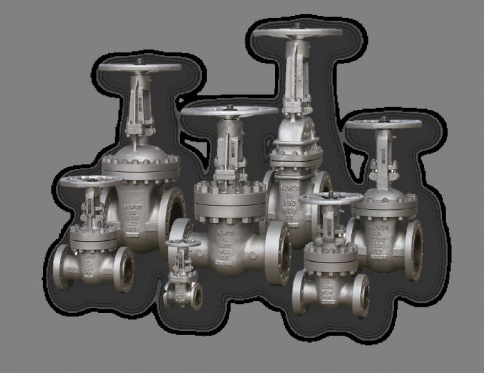 Válvulas de Compuerta - Demco/Newco