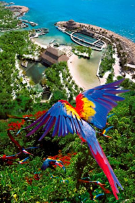 Excursiones a Xcaret - Xcaret