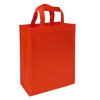 Bolsa Ecologica Nonwoven