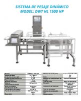 SISTEMA DE PESAJE DINAMICO