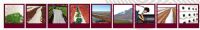 PRODUCTOS AGRICOLAS - 