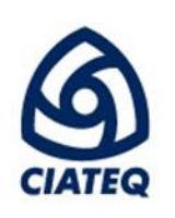 DESARROLLO TECNOLOGICO