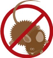 Cepillos de Alta Densidad para Control de Plagas - Sealeze