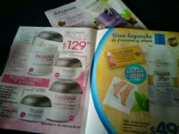 FRESH CLEANER - STANHOME