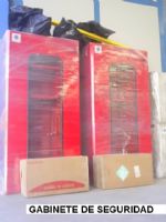 GABINETE DE SEGURIDAD - ELECTRO PUENTE SA DE CV