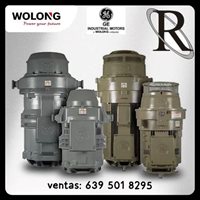 MOTORES VERTICAL FLECHA HUECA - GE