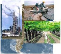 CALIDAD Y MEDIO AMBIENTE - SECSPA