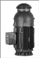 MOTORES VERTICAL FLECHA HUECA - SIEMENS Y US