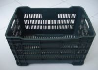 CAJA MARIA CALADA REPROCESO - PERLORA