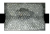 Bolsas de Poliburbuja