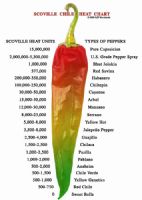 Oleorresinas de Chiles