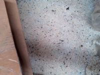 BARREDURA DE VIRGENES