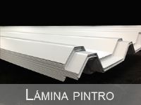 LAMINA PINTRO Y ZINTRO