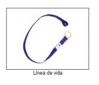 Linea de Vida - PROCARGA