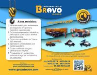 Grúas Industriales (Arrendamiento y Venta)