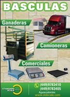 Bascula Electromecanica Camionera