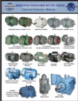 Motores eléctricos - Worldwide electric/HYUNDAI